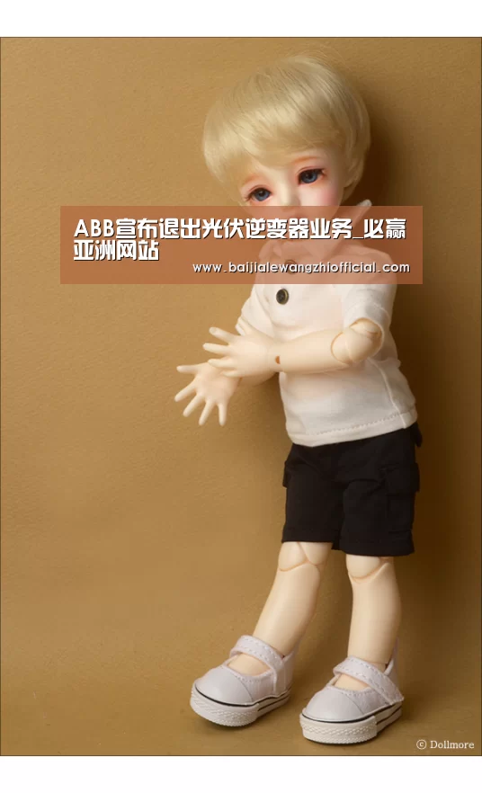 ABB宣布退出光伏逆变器业务_必赢亚洲网站(图4) 必赢体育官网