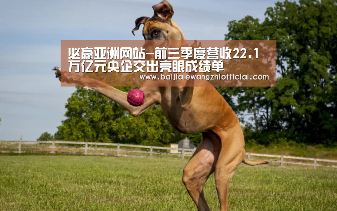 必赢体育官网直播