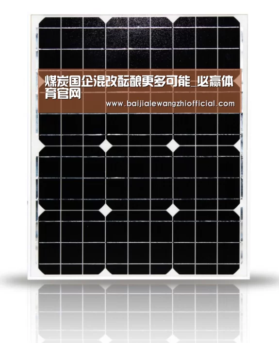 煤炭国企混改酝酿更多可能_必赢体育官网(图2) 必赢体育官网直播