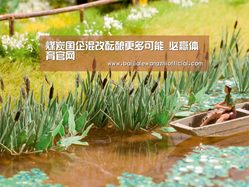 煤炭国企混改酝酿更多可能_必赢体育官网(图3) 必赢体育官网直播